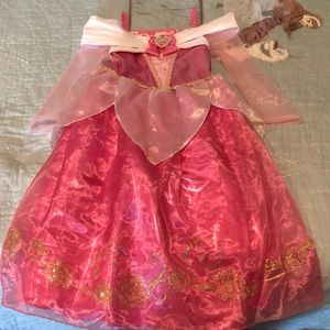 Princess Aurora/Sleeping Beauty Costume